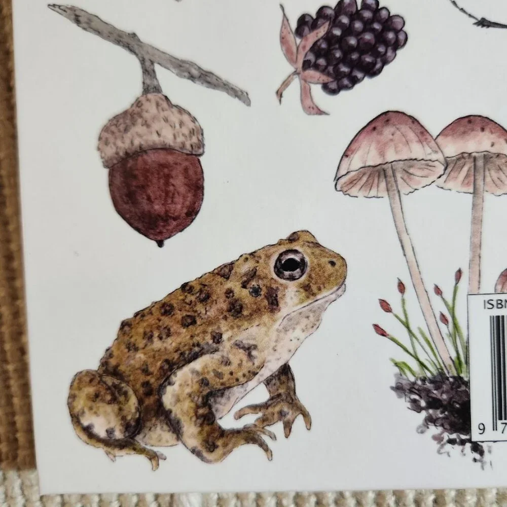 NEW Nature Journal for Kids Activity Book Notebook Hardcover Book Birdwatching B